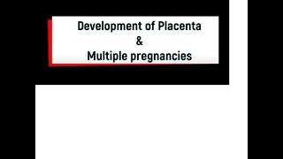 Development of Placenta and Multiple pregnancies [upl. by Tloc476]