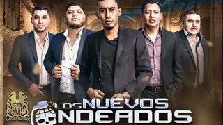 08 Los Nuevos Ondeados  El Sobrino Official Audio [upl. by Dnomad]