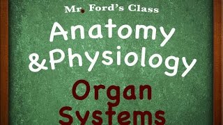 Introduction To Anatomy Physiology Organ Systems 0104 [upl. by Waneta]