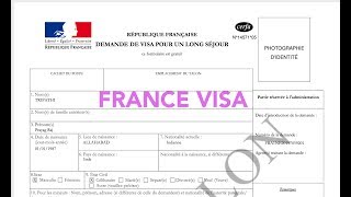 How to fill France Visa application [upl. by Eleon]