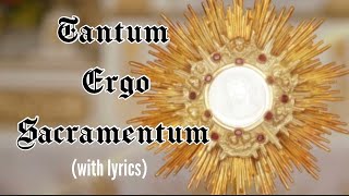 Tantum ergo Sacramentum lyrics Holy Hour HymnEucharistic Adoration Chant Catholic [upl. by Tommie]