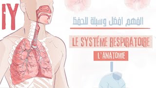 le système respiratoirelanatomie généraleلن تحتاج الى حفضه بعد هذا [upl. by Assenav]