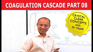 Coagulation Cascade  Part 812 [upl. by Ahsilam]