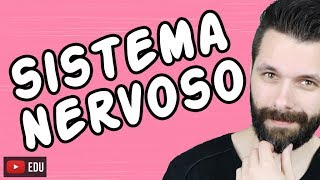 SISTEMA NERVOSO  FISIOLOGIA  Aula  Biologia com Samuel Cunha [upl. by Llenrahs]