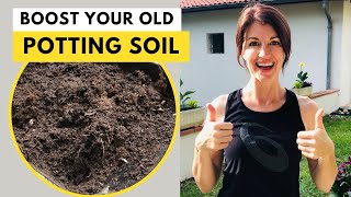 REUSE POTTING SOIL  Can I reuse old potting soil [upl. by Gemoets]