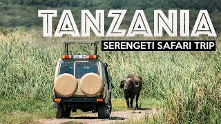 TANZANIA SAFARI  Exploring The Serengeti [upl. by Aniehs]