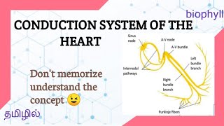 Basic Electrophysiology part 1  Mechanical Anatomy of the Heart part 1 [upl. by Naibaf]