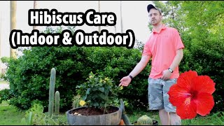 How to Care for a Hibiscus Indoor amp Outdoor [upl. by Eetnuahs916]