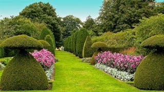 The Most Beautiful Gardens in the World [upl. by Vani]