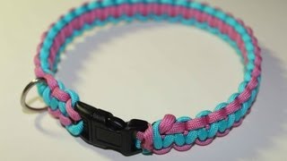 Tutorial Paracord Dog Collar [upl. by Mackie]