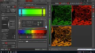 Leica SPE Microscope Tutorial [upl. by Gregor]