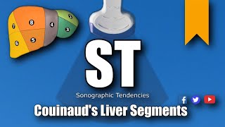 Ultrasound Couinauds Liver Segments [upl. by Thacker598]