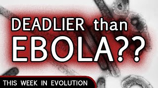 Science News What’s scarier than Ebola Marburg virus [upl. by Ramsey]