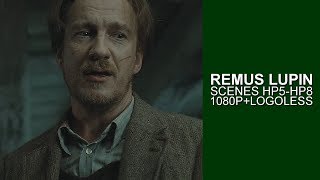 Remus Lupin Scenes  Logoless 1080p [upl. by Acirretal]