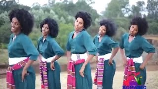 Best Ethiopian Traditional Music 2014 Solomon Demle  Mech Ayeshiwuna [upl. by Cointon]