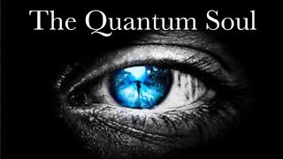 What is CONSCIOUSNESS The Case for the Quantum Soul [upl. by Ztnahc]