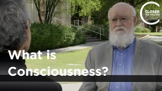 Daniel C Dennett  What is Consciousness [upl. by Oninrutas578]