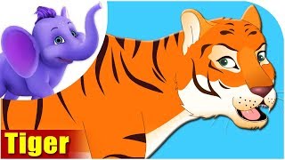 Animal Songs for kids  Tiger Songs [upl. by Eceinahs]