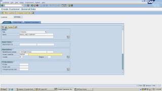 SAP Accounts receivable process flow  Live demo in the system [upl. by Laucsap]