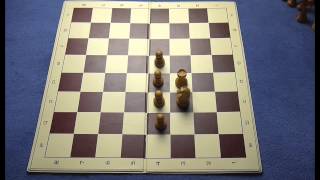 Schach lernen in 30 Minuten [upl. by Innad]