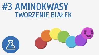 Aminokwasy tworzenie białek 3  Biologiczne związki organiczne [upl. by Ekim]