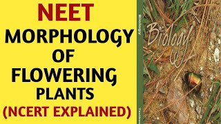 NCERTChapter 5Morphology of Flowering PlantsClass 11Quick Revision SeriesNEETAIIMSBiology [upl. by Simmons368]