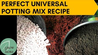 How to Make Perfect Universal Potting Mix for All Plants  Cheap amp Easy to Make Potting Mix Recipe [upl. by Russian]