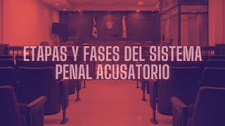 ETAPAS Y FASES DEL SISTEMA PENAL ACUSATORIO [upl. by Eceertal]