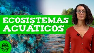 Qué son los ECOSISTEMAS ACUÁTICOS 🌊 Tipos [upl. by Airres279]