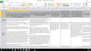 How to Create a Literature Matrix Excel [upl. by Gussy]