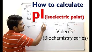 5 How to calculate pI from 3 pKa Values  Amino Acids  Biochemistry [upl. by Sachsse]