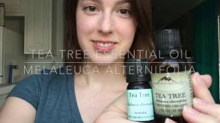 Tea Tree Oil  3 DIY Recipes [upl. by Nnylear]