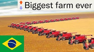 Largest Farms In Brazil [upl. by Gladi]