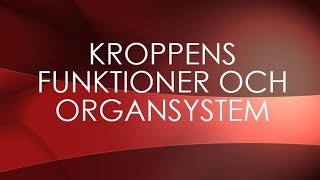 Människokroppen  organsystem [upl. by Grochow]