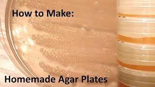 How to make Homemade agar plates [upl. by Aerdnahc]