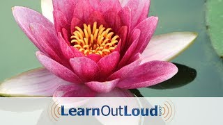 The Dhammapada  Full Audiobook [upl. by Ernesto]