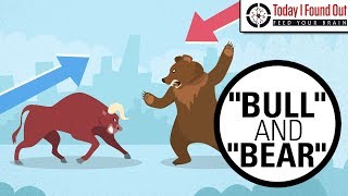 Why are Bull and Bear Markets Called That [upl. by Vanden]