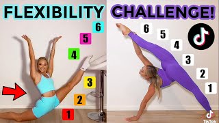 FLEXIBILITY TIK TOK CHALLENGE TWIN VS TWIN [upl. by Bibah174]