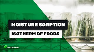 Moisture Sorption Isotherm of Foods [upl. by Ylesara]