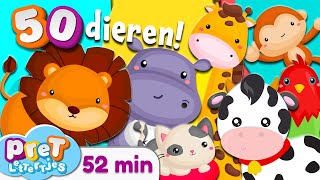 Pretlettertjes • Alle 50 Dierengeluiden • 52 min Special • Voor Baby Dreumes en Peuter • Nederlands [upl. by Aneel]