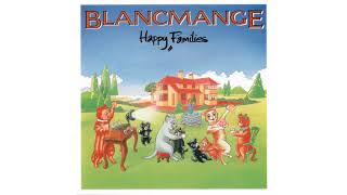 Blancmange  Feel Me [upl. by Nytsirk68]