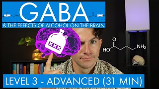 GABA  The Inhibitory Neurotransmitter  Alcohol in the Brain Level 3  Advanced [upl. by Odlanor]