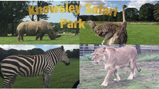 Knowsley Safari Park England [upl. by Ramirolg980]