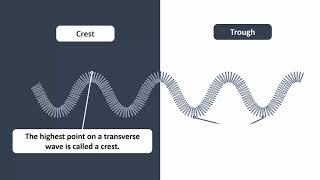 Waves and Their Types [upl. by Annasoh338]