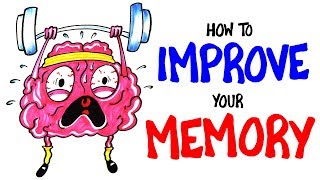 How To Improve Your Memory RIGHT NOW [upl. by Ahsienom]