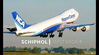 Planespotting Amsterdam Schiphol Airport HEAVY AMS  4K [upl. by Ecirtnahc47]