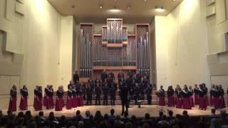 Agnus Dei  Stellenbosch University Choir [upl. by Dudden]