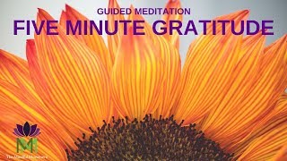 5 Minute Guided Meditation for Gratitude  Mindful Movement [upl. by Anaet]