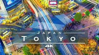 Tokyo Japan 🇯🇵  by drone 4K [upl. by Gennifer68]