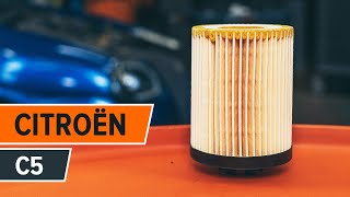 Cómo cambiar la filtro de aceite y aceite de motor en CITROËN C5 VÍDEO TUTORIAL DE AUTODOC [upl. by Spencer]